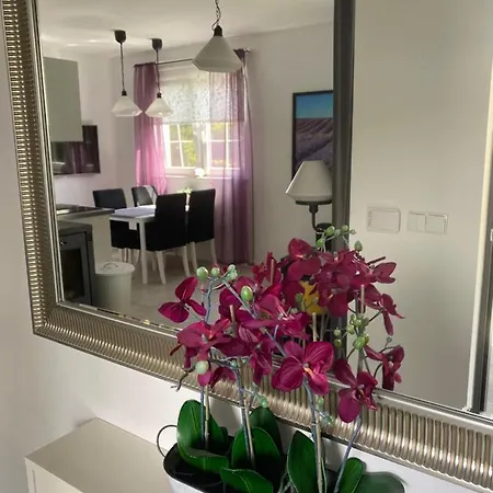 Rodzinne Miejsce 別荘 コパリノ