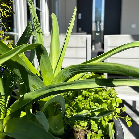 Vakantiehuis Rodzinne Miejsce *