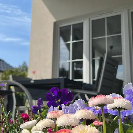 Rodzinne Miejsce * コパリノ