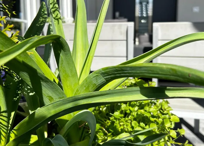 Vakantiehuis Rodzinne Miejsce *