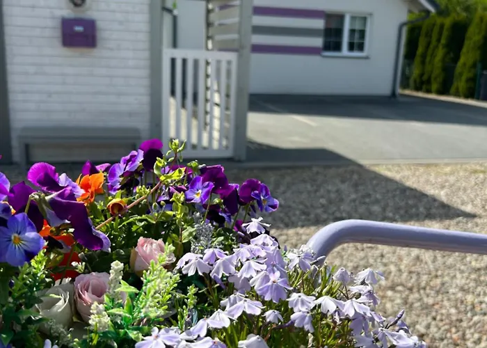 Rodzinne Miejsce Vakantiehuis